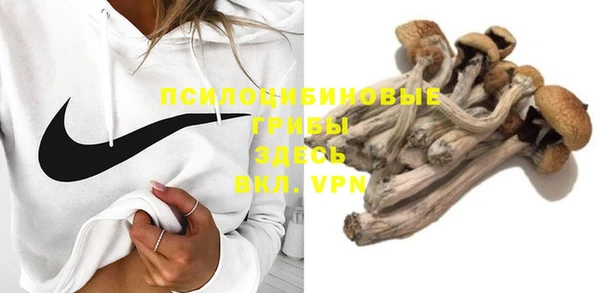 сатива Богородск