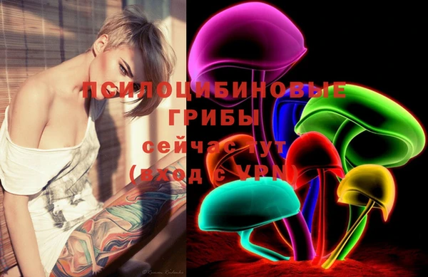 не бодяженный Богданович