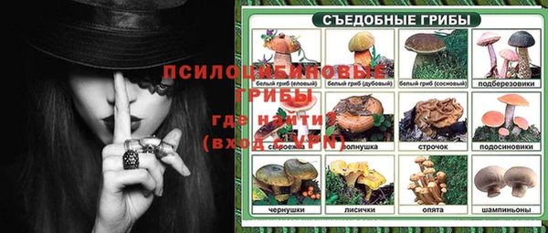 не бодяженный Богданович