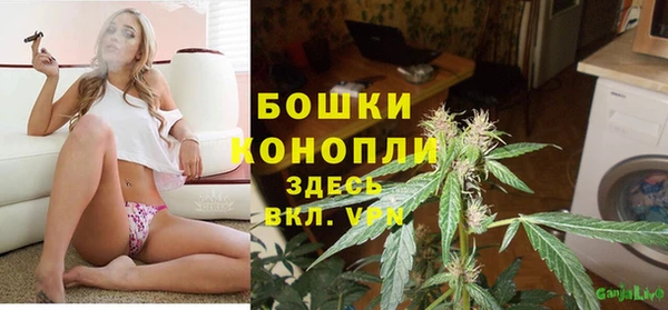 не бодяженный Богданович