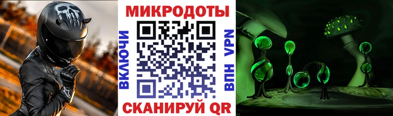 Галлюциногенные грибы прущие грибы  Кораблино 